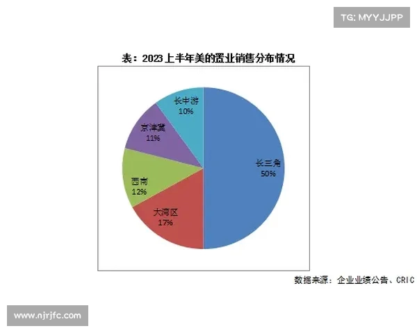 足球俱乐部转会资金使用计划及其优化策略分析与实施方案