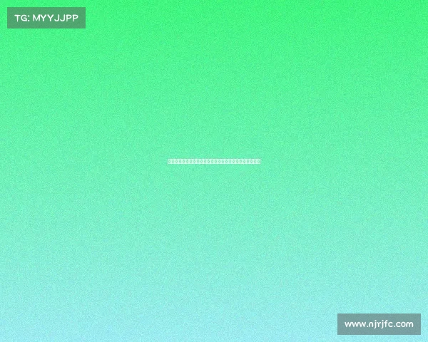 足球俱乐部转会资金使用计划及其优化策略分析与实施方案