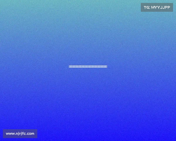 足球俱乐部转会资金使用计划及其优化策略分析与实施方案