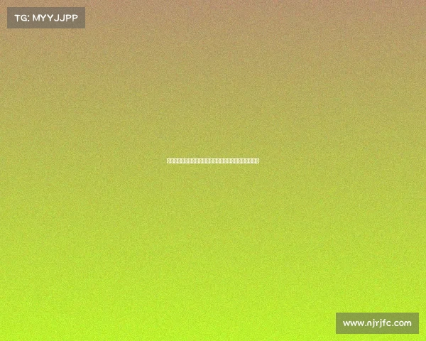 足球俱乐部转会资金使用计划及其优化策略分析与实施方案