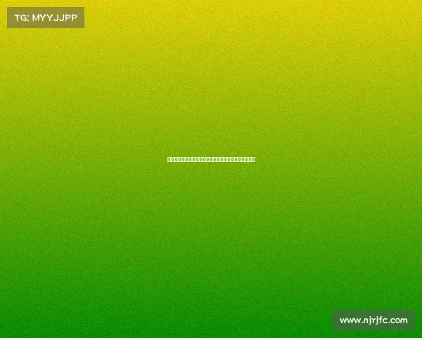 马特拉齐：齐沃虽经验有限但足以担当意甲赛场核心角色