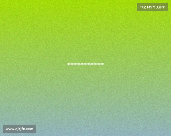 足球俱乐部转会资金使用计划及其优化策略分析与实施方案