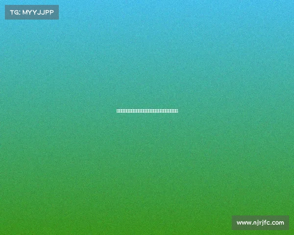 马特拉齐：齐沃虽经验有限但足以担当意甲赛场核心角色